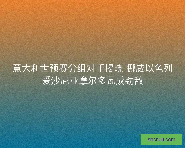 意大利世预赛分组对手揭晓 挪威以色列爱沙尼亚摩尔多瓦成劲敌