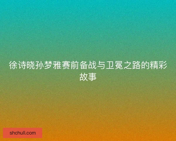 徐诗晓孙梦雅赛前备战与卫冕之路的精彩故事