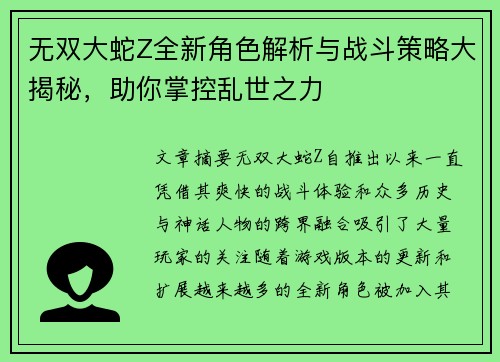 无双大蛇Z全新角色解析与战斗策略大揭秘，助你掌控乱世之力